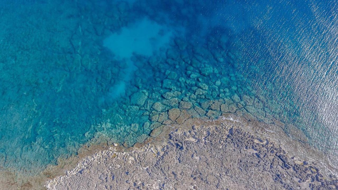 Casa Tulipano 1 Sx A 200 Mt Dal Mare Di *