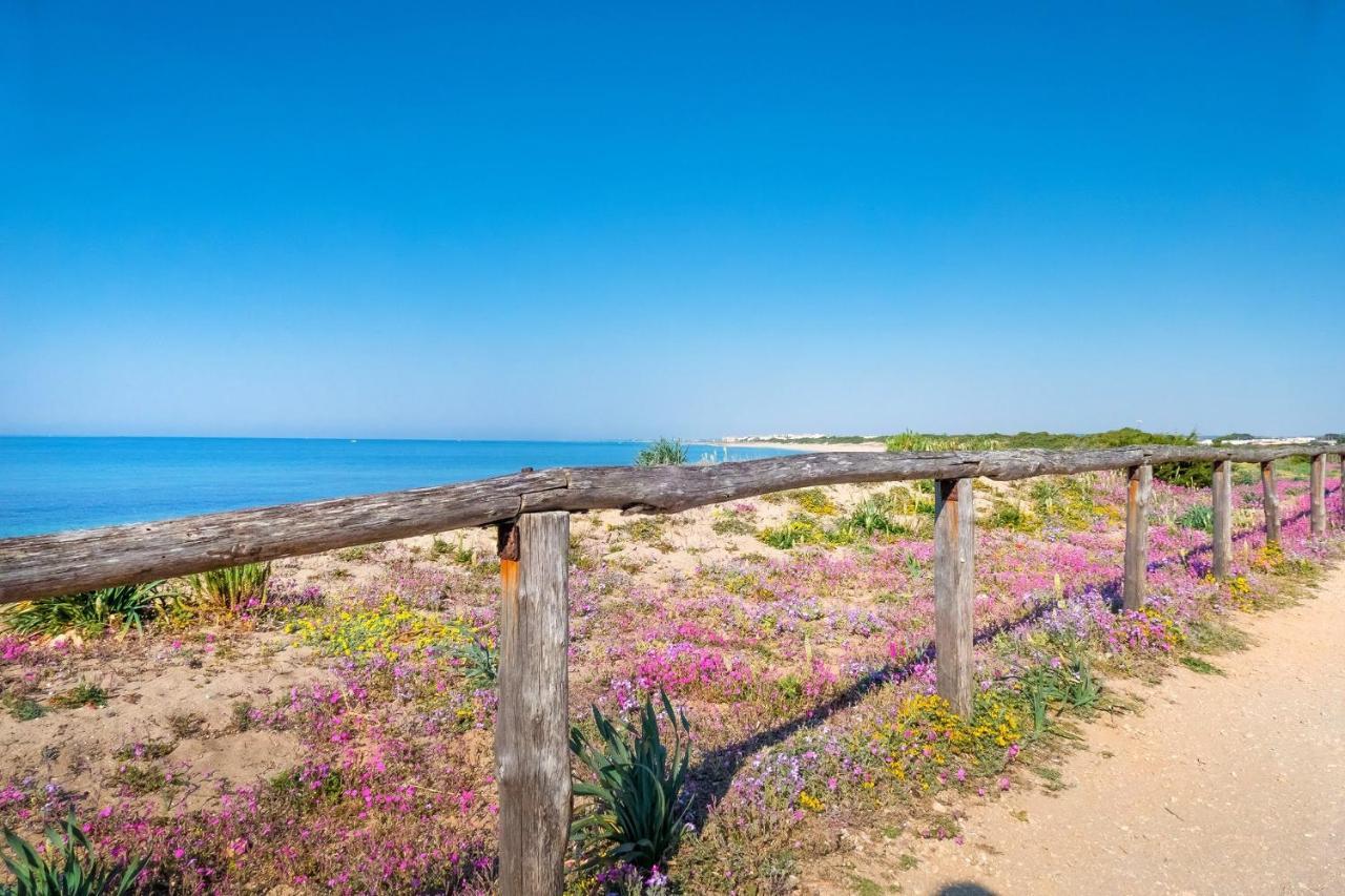 Casa Tulipano 1 Sx A 200 Mt Dal Mare Di *